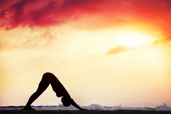 Beginner's Guide To Yoga